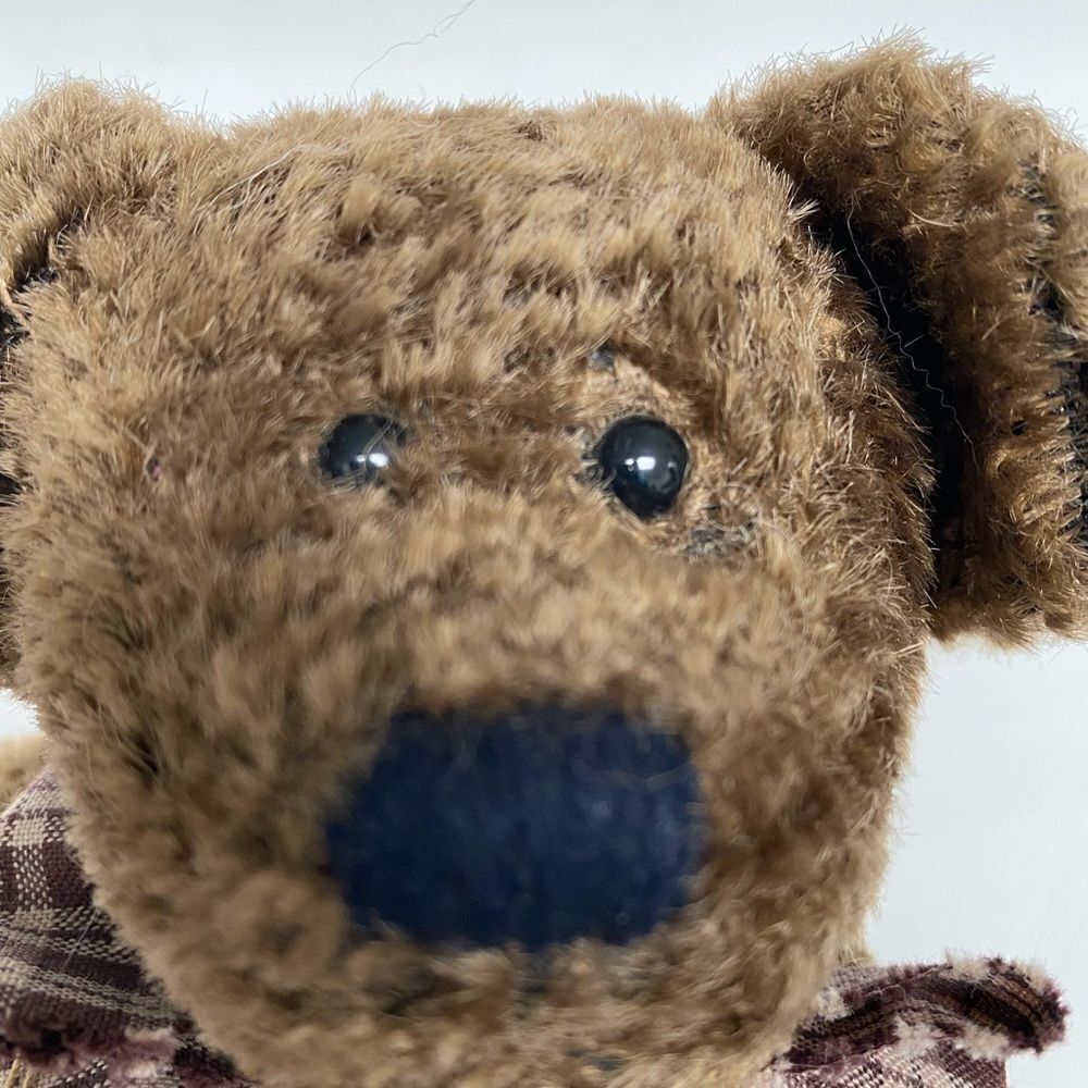 NWT Boyds Bears Scruffy S Beariluved